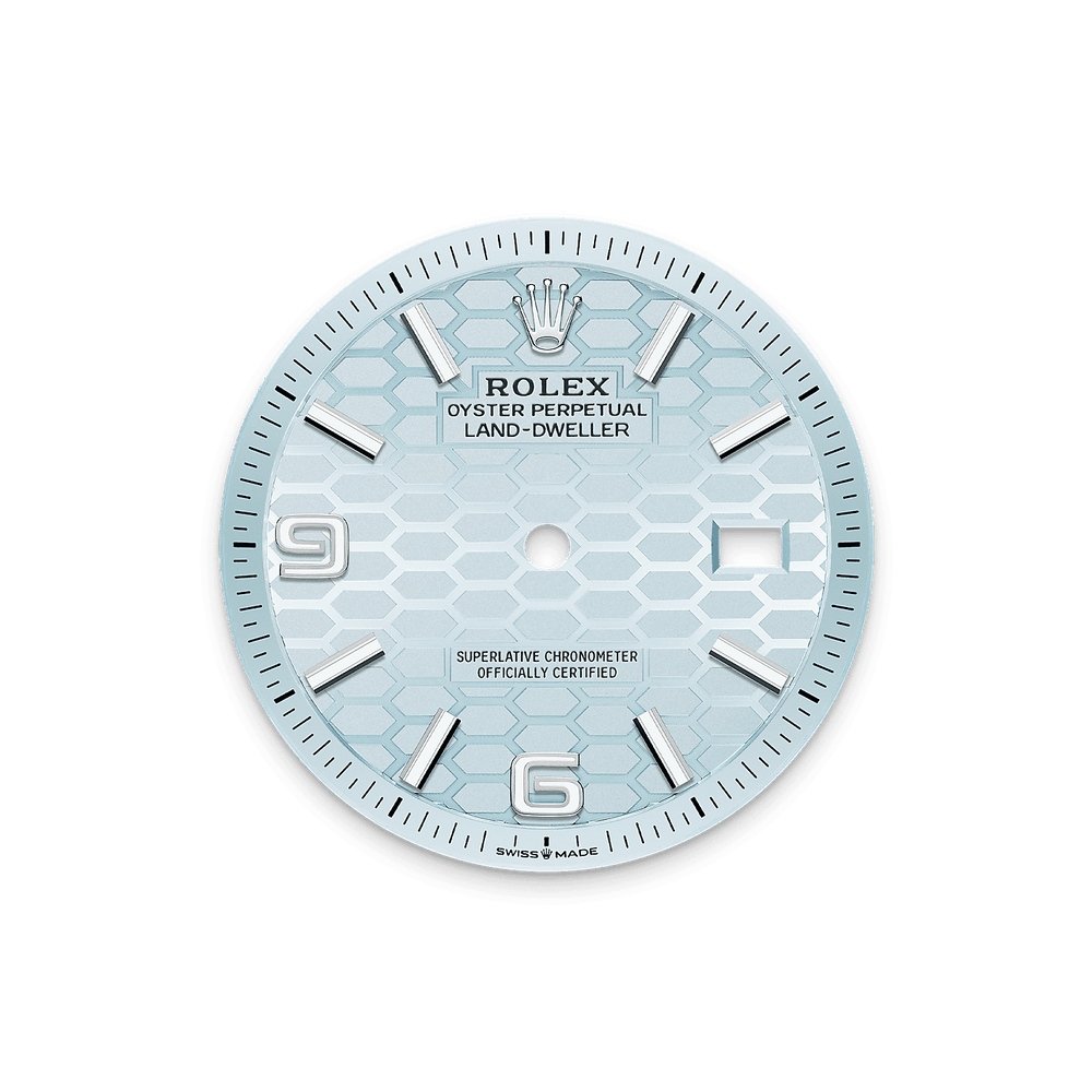 Land-Dweller 36mm Oyster Platinum M127236-0001