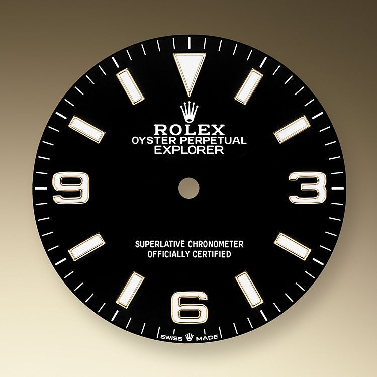 Explorer, 18k Yellow Gold and Stainless steel, 36mm, Ref# 124273-0001, 2024